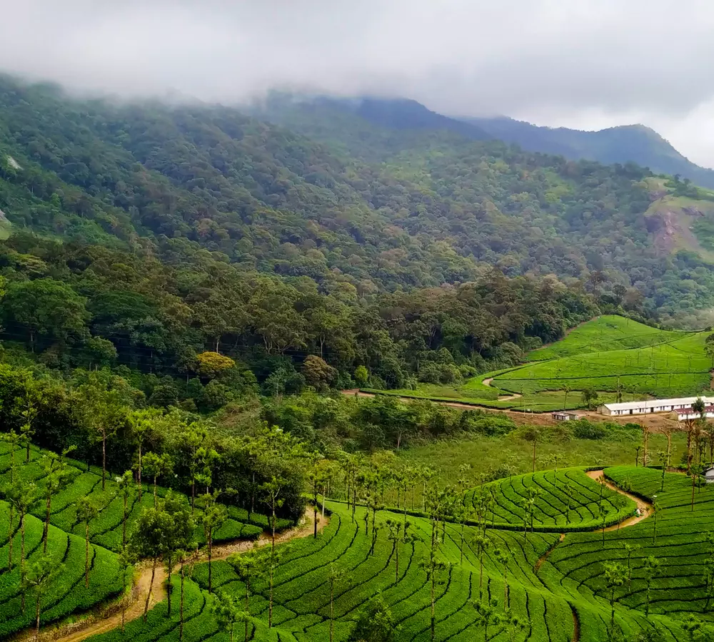 Valparai